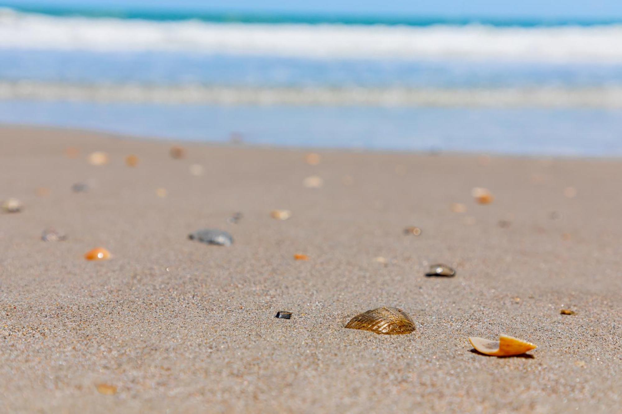 קוקו ביץ' Beachside Hotel And Suites מראה חיצוני תמונה